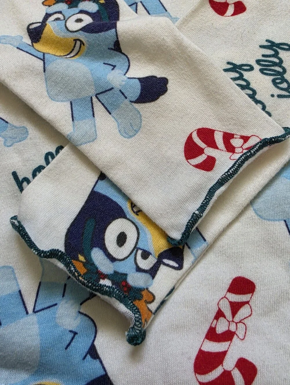 Bluey excellent isn